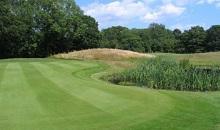 Horsham G C truly a bespoke course care of Johnsons Sports Seed